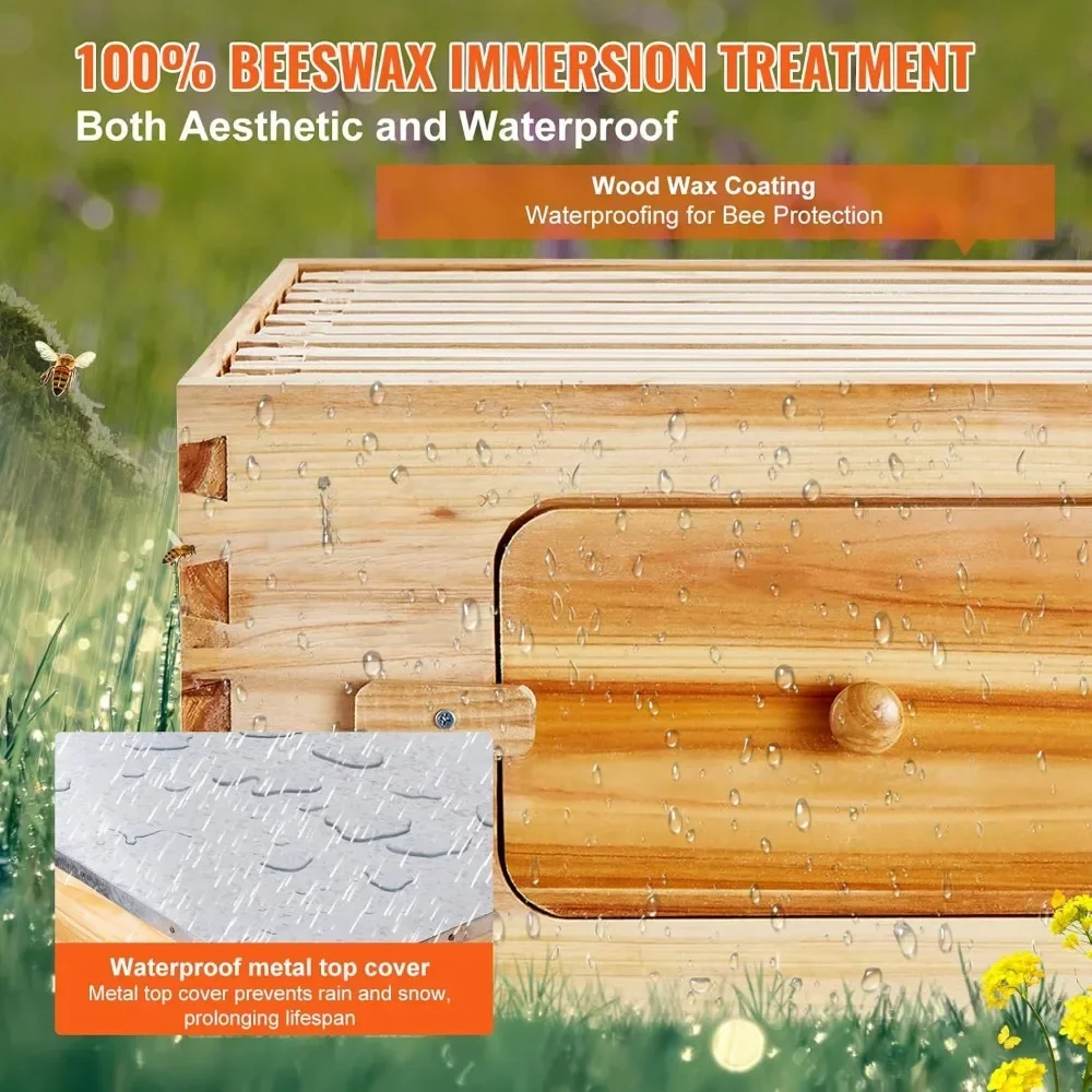 10 Frame Bee Hive, Beeswax Coated Fir Wood, 2 Deep + 2 Medium Bee Boxes Langstroth Beehive Kit for Beginners Pro Beekeepers