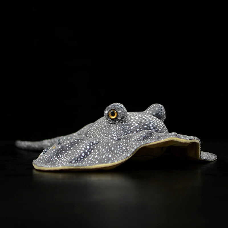 ΠΠ³ΡΡΡΠΊΠ° ΠΏΠ»ΡΡΠ΅Π²Π°Ρ Raja Porosa, ΠΌΠΈΠ»Π°Ρ ΠΌΡΠ³ΠΊΠ°Ρ ΠΠ°Π±ΠΈΠ²Π½Π°Ρ ΠΈΠ³ΡΡΡΠΊΠ°, 50 Ρ
34 ΡΠΌ, ΡΡΠ±Π°, ΠΌΠΎΡΡΠΊΠΎΠ΅ ΠΆΠΈΠ²ΠΎΡΠ½ΠΎΠ΅ ΠΠ³ΡΡΡΠΊΠ° ΠΏΠ»ΡΡΠ΅Π²Π°Ρ Raja Porosa, ΠΌΠΈΠ»Π°Ρ ΠΌΡΠ³ΠΊΠ°Ρ ΠΠ°Π±ΠΈΠ²Π½Π°Ρ ΠΈΠ³ΡΡΡΠΊΠ°, 50 Ρ
34 ΡΠΌ, ΡΡΠ±Π°, ΠΌΠΎΡΡΠΊΠΎΠ΅ ΠΆΠΈΠ²ΠΎΡΠ½ΠΎΠ΅