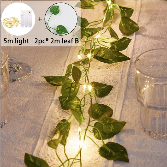 5m light with leaf B