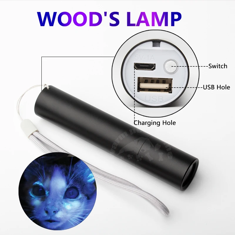 Veterinary Surgical Instruments WOOD's Lamp Fungus Detection UV Flashlight for Cat Dog