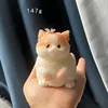 2024 NEW Large Kawaii Chubby Cat Ragdoll Cat Soft Sticky Birthday Kids Girl Cute Squishy gift Fidgeting Mochi Taba Toy Ornament 5