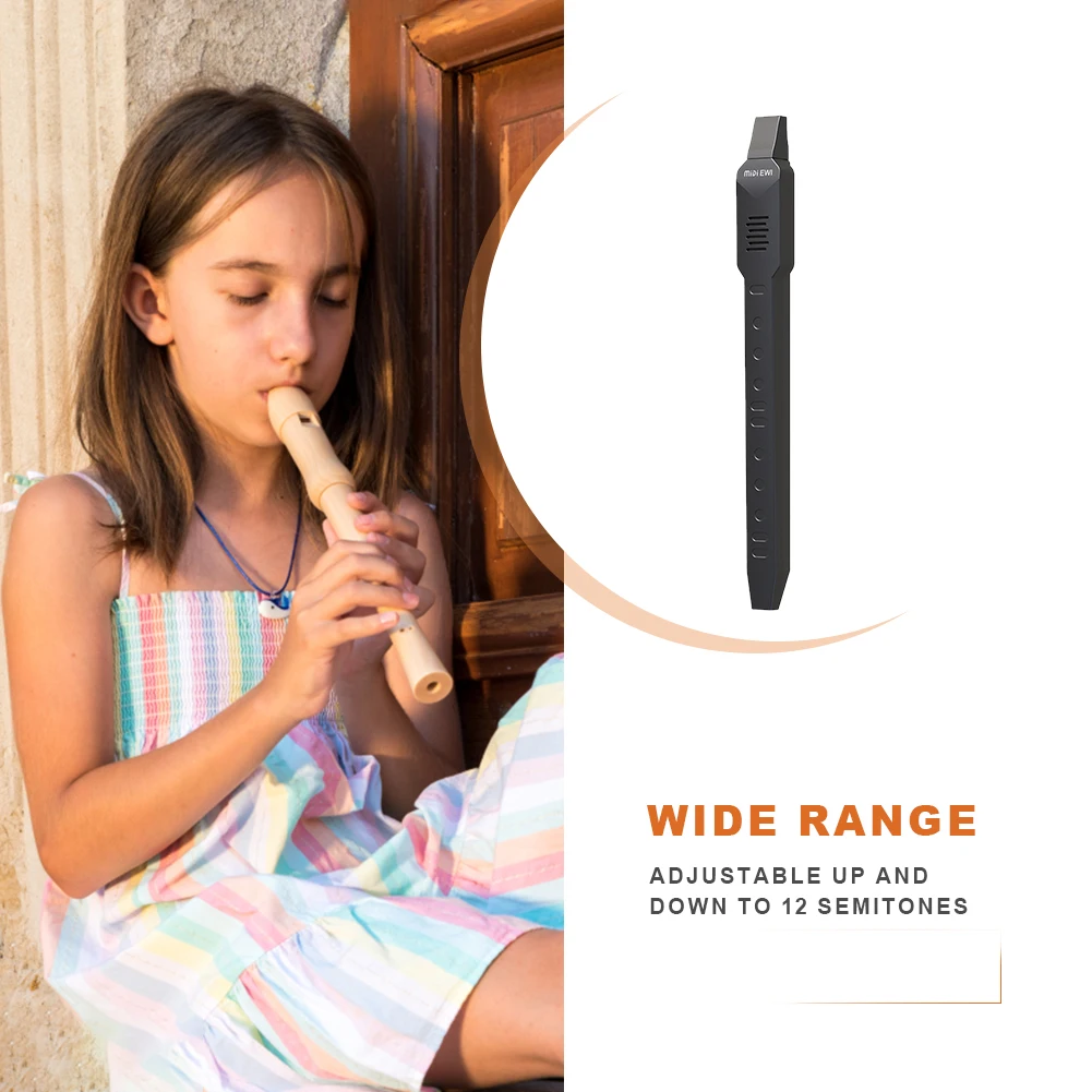 Electronic Wind Saxophone 10 Timbres Electronic Flute Built-in Battery Speaker Simulated Sax Music Wind Instrument saxophone musical instrument,digital wind saxophone