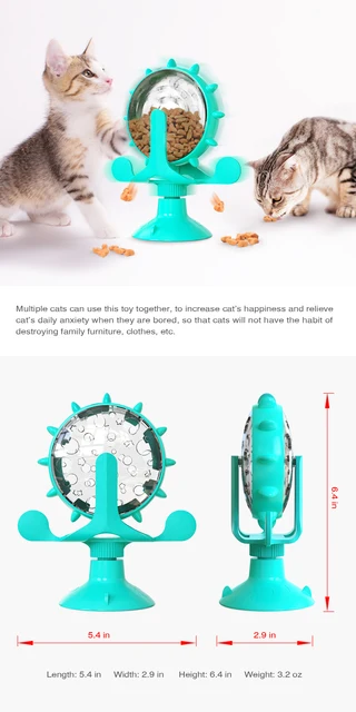  Hirolulu Interactive Cat Toy for Indoor Cats Treasure Chest Cat  Feather Toy with Catnip Ball Kitten Kitty Puzzle Toys Box Track Balls  Roller Tracks Smart Mental Stimulation Brain Games for