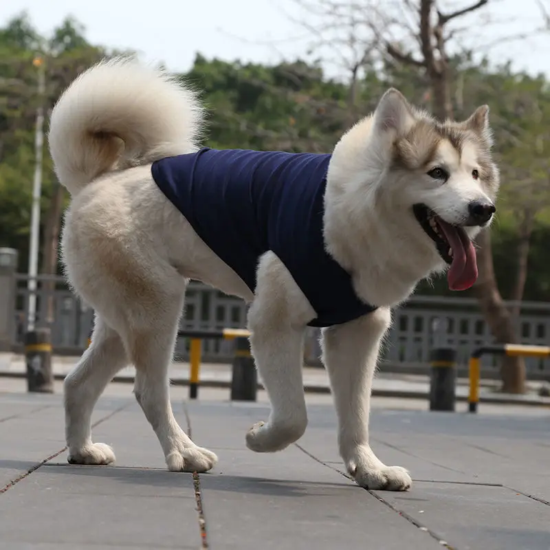 Hot Sale Golden Retriever Samor Labrador Dog Cat Clothes Small Medium Large Pet Supplies Cotton Vest Teddy French Bulldog |