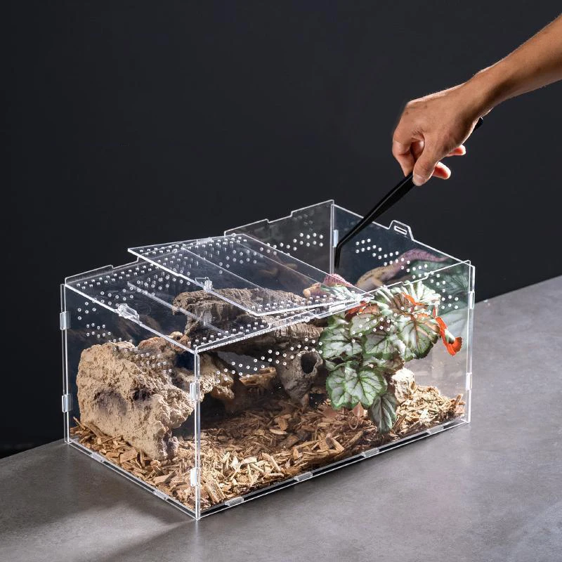 Acrylic Reptile Breeding Box 3