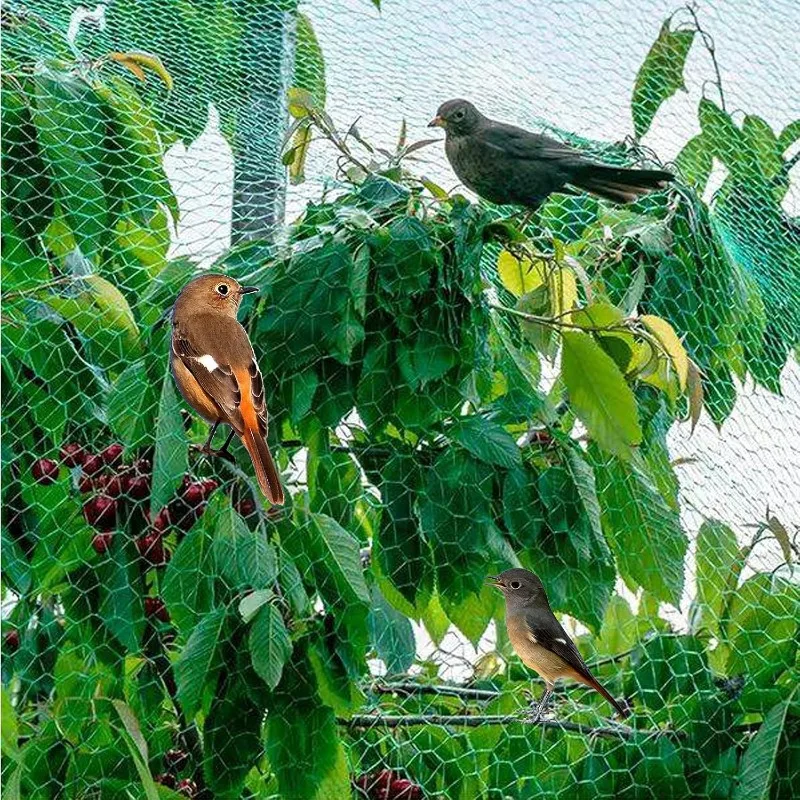 Description Picture 4 of itemMesh Anti Bird Nets for Garden Orchard Plants Flowers Fruits Vegetable Crops Protection Fencing Stretch Pond Pool Protection Net