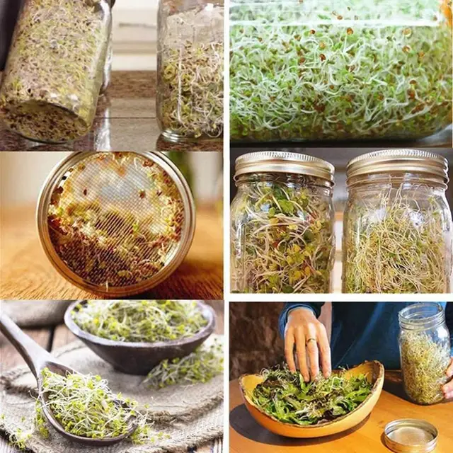 Vetőmagcsíráló Üvegek 2Db 950 Ml Csírázott Üveg Kőműves Üvegedénybe Helyezett Széles Szájú Csírázó Edények Rozsdamentes Acélból Készült Csírázókkal - Image 4