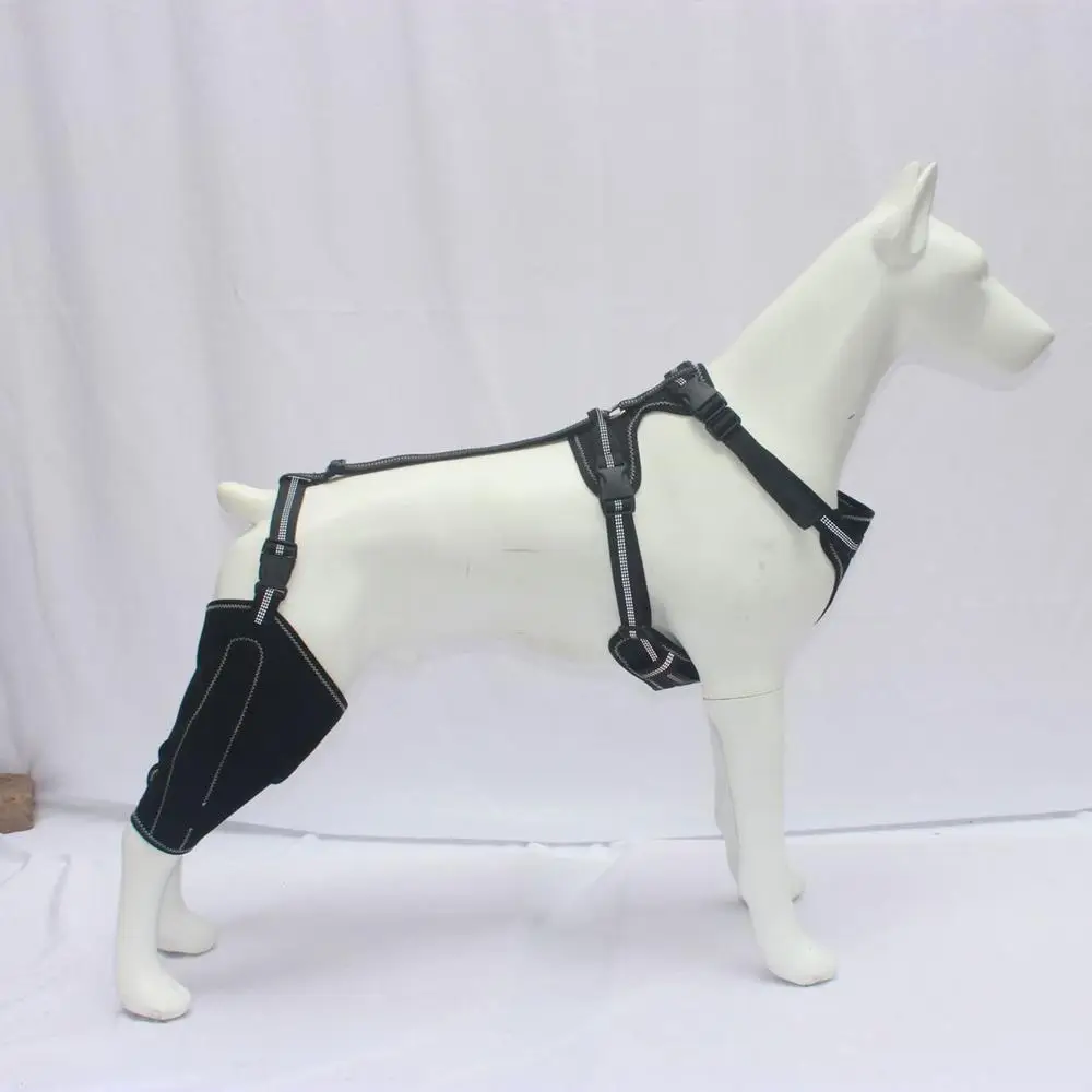 Knee Brace For Dogs Back Leg Adjustable Dogs Rear Leg Wrap Dogs Back Leg Wrap Canine Care CCL Support Brace For Medium And Large
