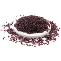 Garnet