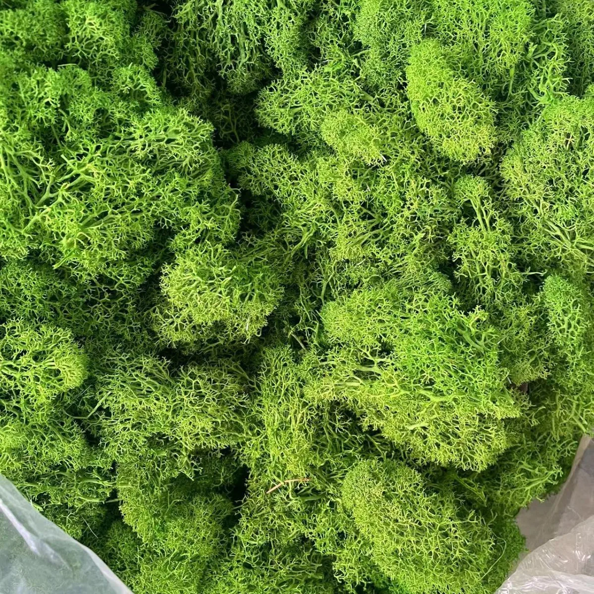 Artificial Green Plants Polyester Moss Grass for Home and Garden Decoration