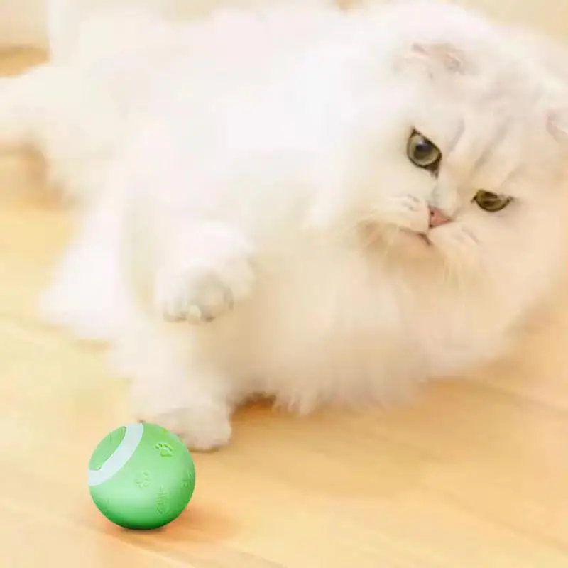 

Automatic Rotating Ball Cat Toys 360 Degree Interactive Hunting Cat Toy Durable & Sturdy Cat Ball Toy Interactive Dog Cat Toy