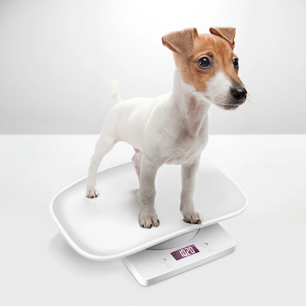 https://ae01.alicdn.com/kf/Sd79302dd644340d89c35ce787435286dn/Pets-Weighbridge-Dog-Scale-Measure-Tool-Postal-Digital-Food-Weighing-Baby-Scales-Body-Weight.jpg