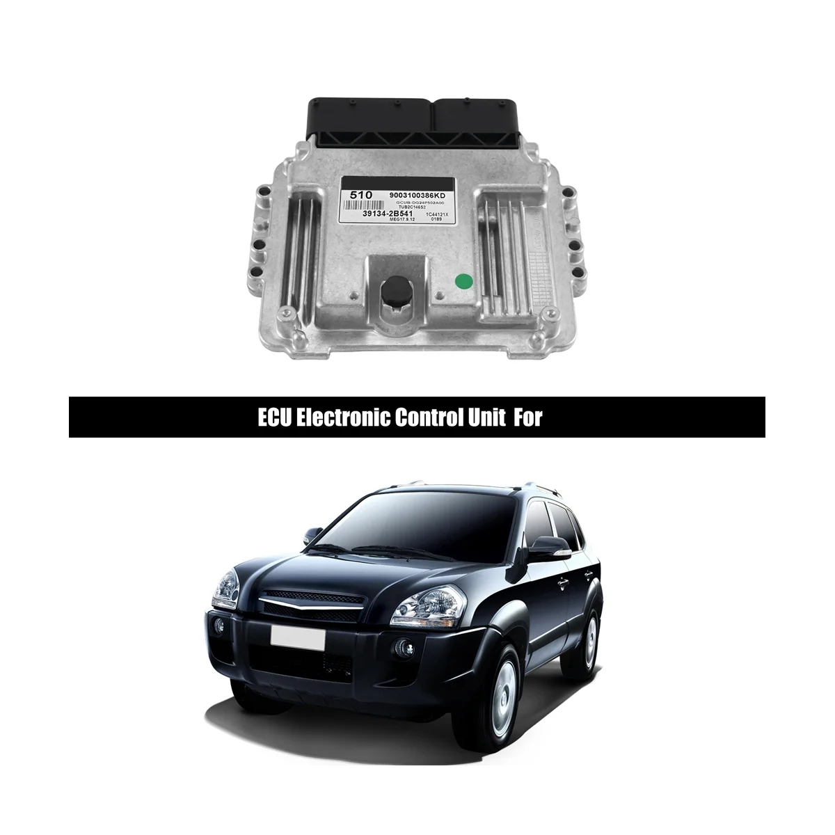 39134 2B541 Car Engine Computer Board ECU Electronic Control Unit MEG17