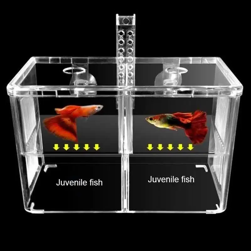 acrylic fish box Custom Made Waterproof Pleximart Aquarium Acclimation Hatchery Incubator Spawning Acrylic Fish Breeding Box