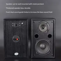 100W High Power 5 Inch Home Speaker Passive Fever Audio Subwoofer K Song Wall Hanging Surround Audio Desktop Front Speaker 2