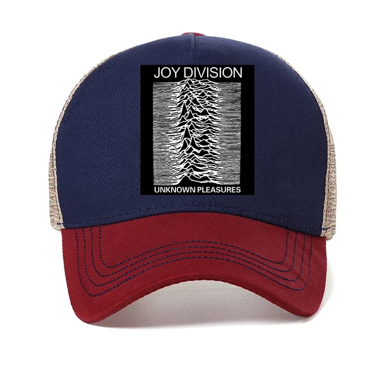 Hillbilly Joy Division-  ƺ , ĳ־  ư ⼺ ߱ ,  ޽ Ʈ  ,  