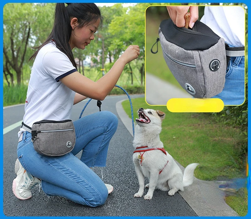 

Portable Pet Dog Training Waist Bag Sports Fanny Pack Multifunction Outdoor Running Fitness Walk Dog Leash Pets Acessorios