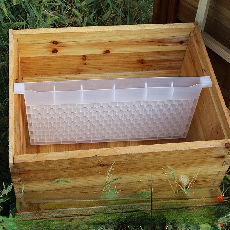 Multi-functional Bee Feeder Multi-pore Feeding Water Baffle Beekeeping Tool