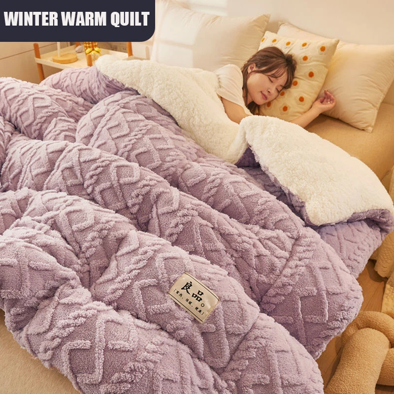 Winter Plush Quilt Core Duvet Thickened Warm Double Faced Cashmere Quilt  For Student Dormitory Single Double Bedding