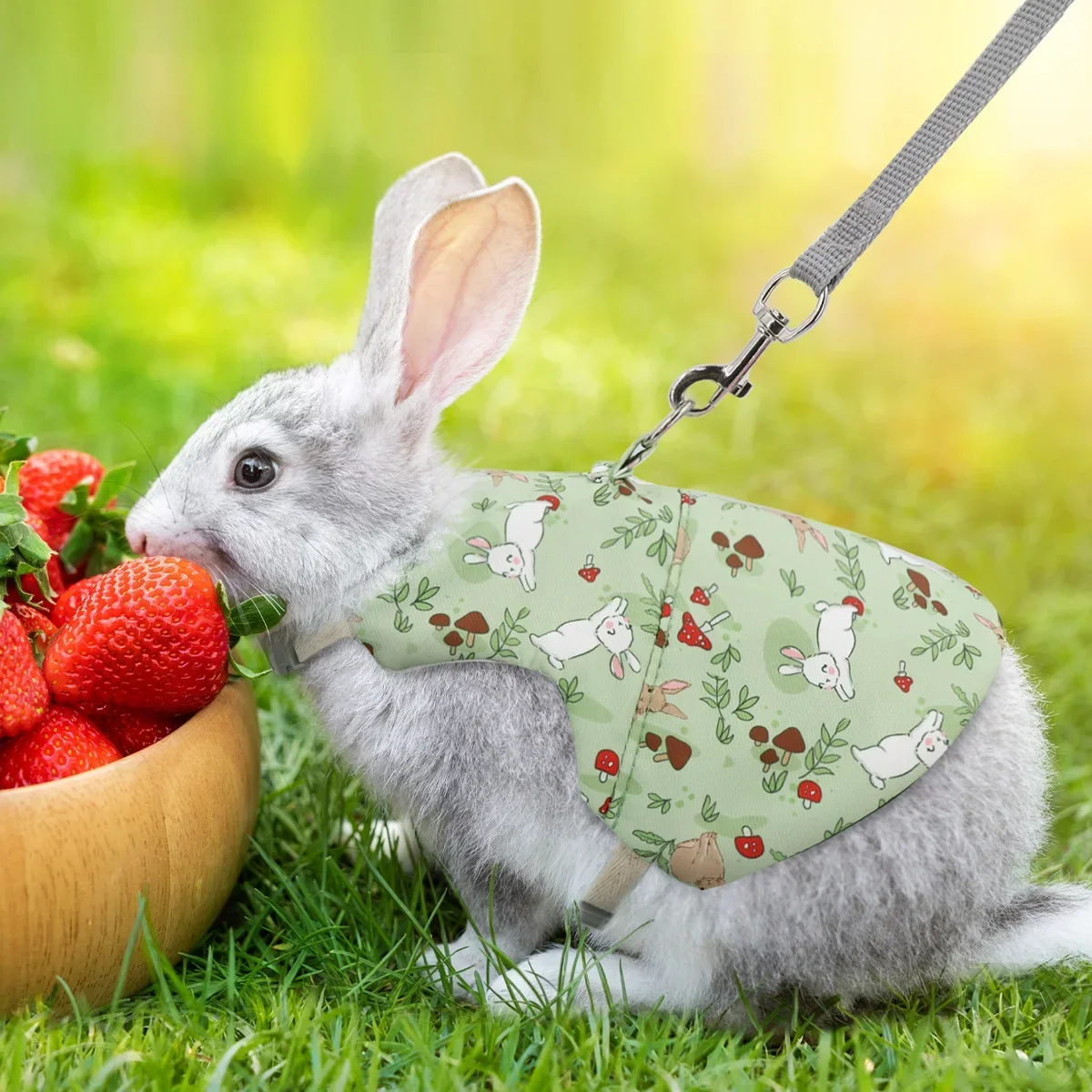 Small pet safety towing rope, rural fresh hanging neck rope rabbit chest and back cover, Dutch pig walking rabbit rope,
