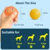 Smart Dog Toy Ball Electronic Interactive Pet Toy Ball USB Automatic Bouncing Rolling Toy Ball With RGB Lights Puppy Cat Product 4