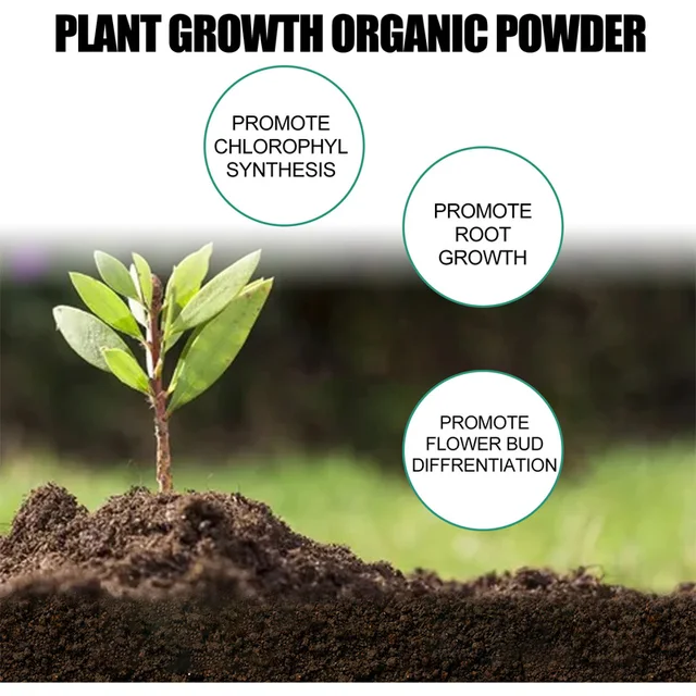 Növénynövekedés Szerves Por Dugványokat Használnak A Növényi Hajgyökér Növekedéséhez És Az Általános Fa Gyümölcs Tápanyagporához - Image 2