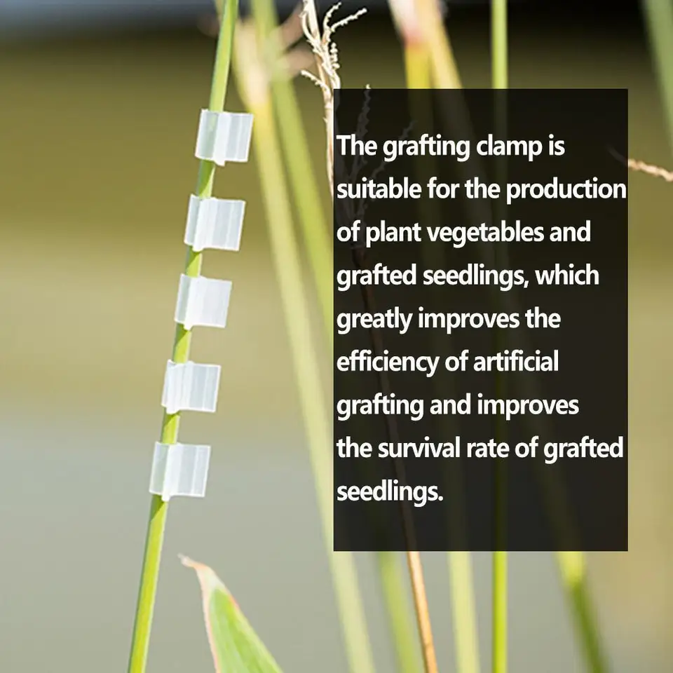 100 Clip Per Innesto Piante - Morsetti Giardinaggio Per Pomodori, Orchidee E Fiori - Foto 5