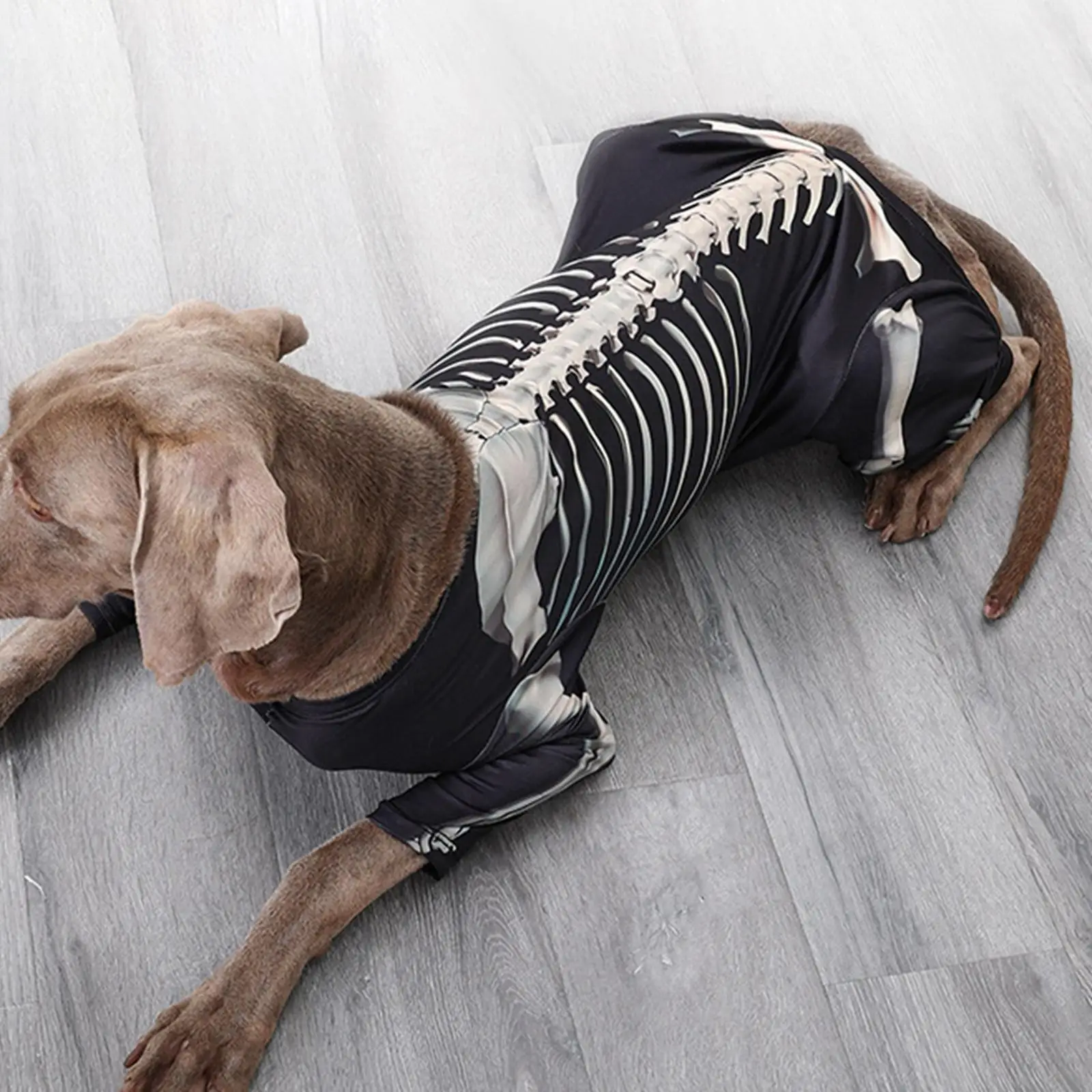 Halloween Skeleton Dog Costume, Apparel Clothes Decorative Jumpsuit Halloween