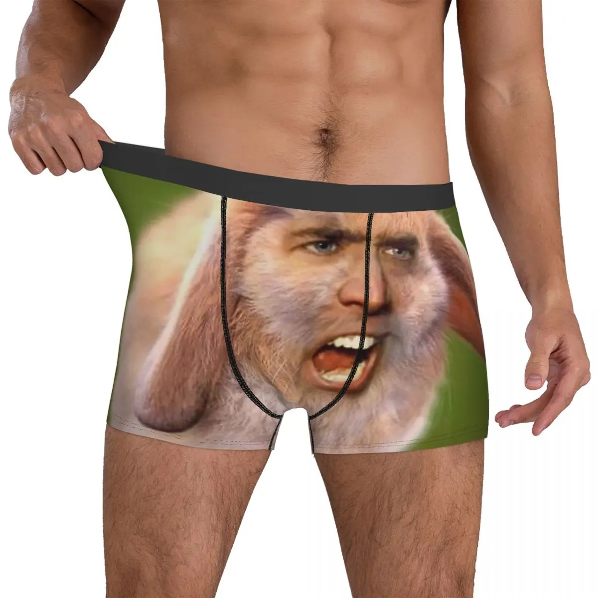 Nicholas Cage(d Rabbit) Men's Boxer Briefs Shorts Men Underpants Cartoon Anime Funny Men's Panties Soft Underwear For Men