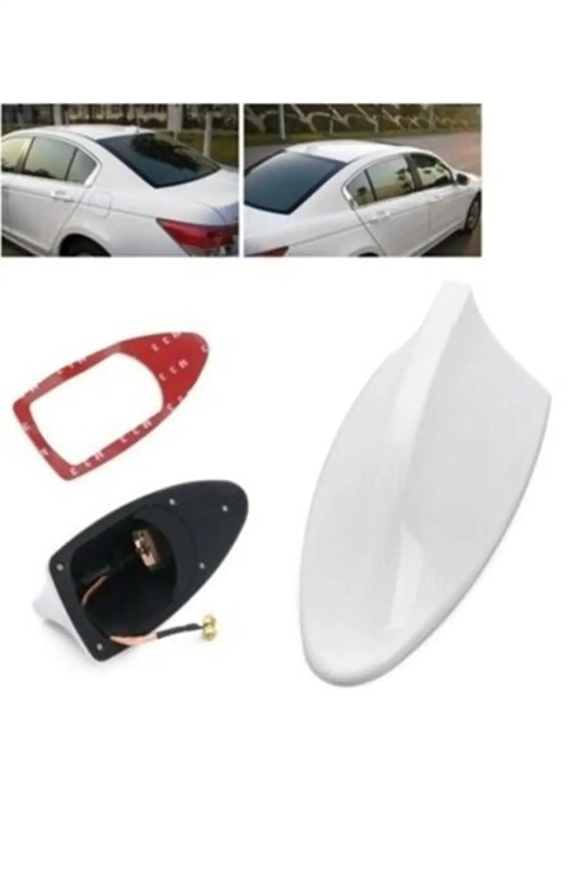 Antenna Elettrica Bentley Continental Gt White Shark Whale
