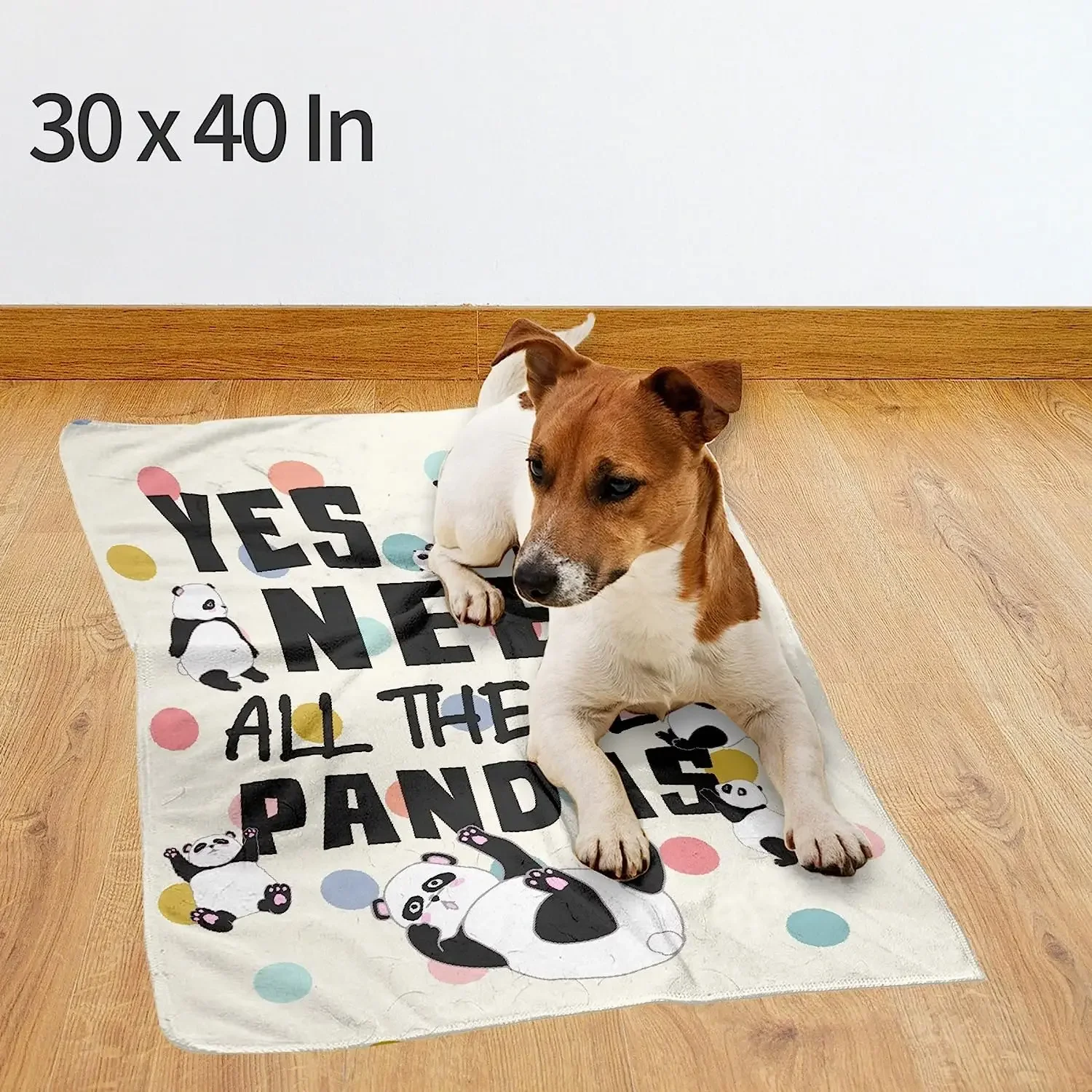 ��, �������� ��� �Ҵ� ������ ���, ���� ħ��, �ڵ��� ����, �߿ܿ�, �ε巴�� �ƴ��� ������ ���� �ö��� ���