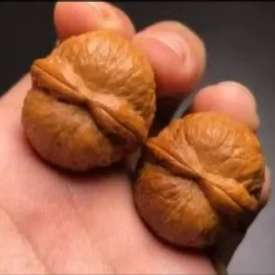

A Pair Hand Toy Hand Pieces Walnut