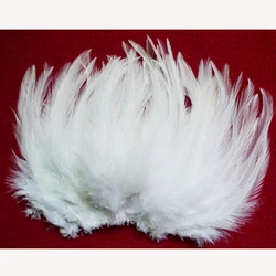 wholesale natural 50pcs/lot  Beautiful  white Pheasant Neck Feathers 10-15cm/4-6''
