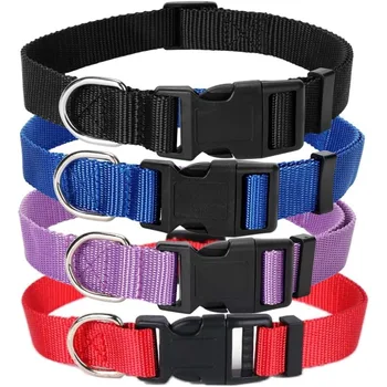 4 Pack Nylon Dog Collars Classic Adjustable Pet Dog Collar for Small Medium and Large Dogs M Black Blue Red Purple 1