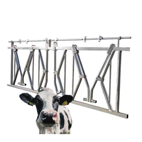 Cattle Head Lock for Sale: A Comprehensive Review for Farm Efficiency ...