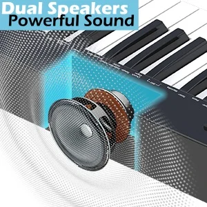 dual speaker