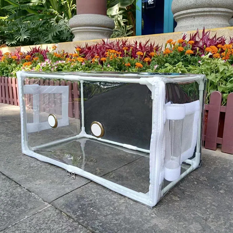 Static air box with high visibility, cold resistance & thermal insulation, large mushroom growth setsuitable for spore matrix
