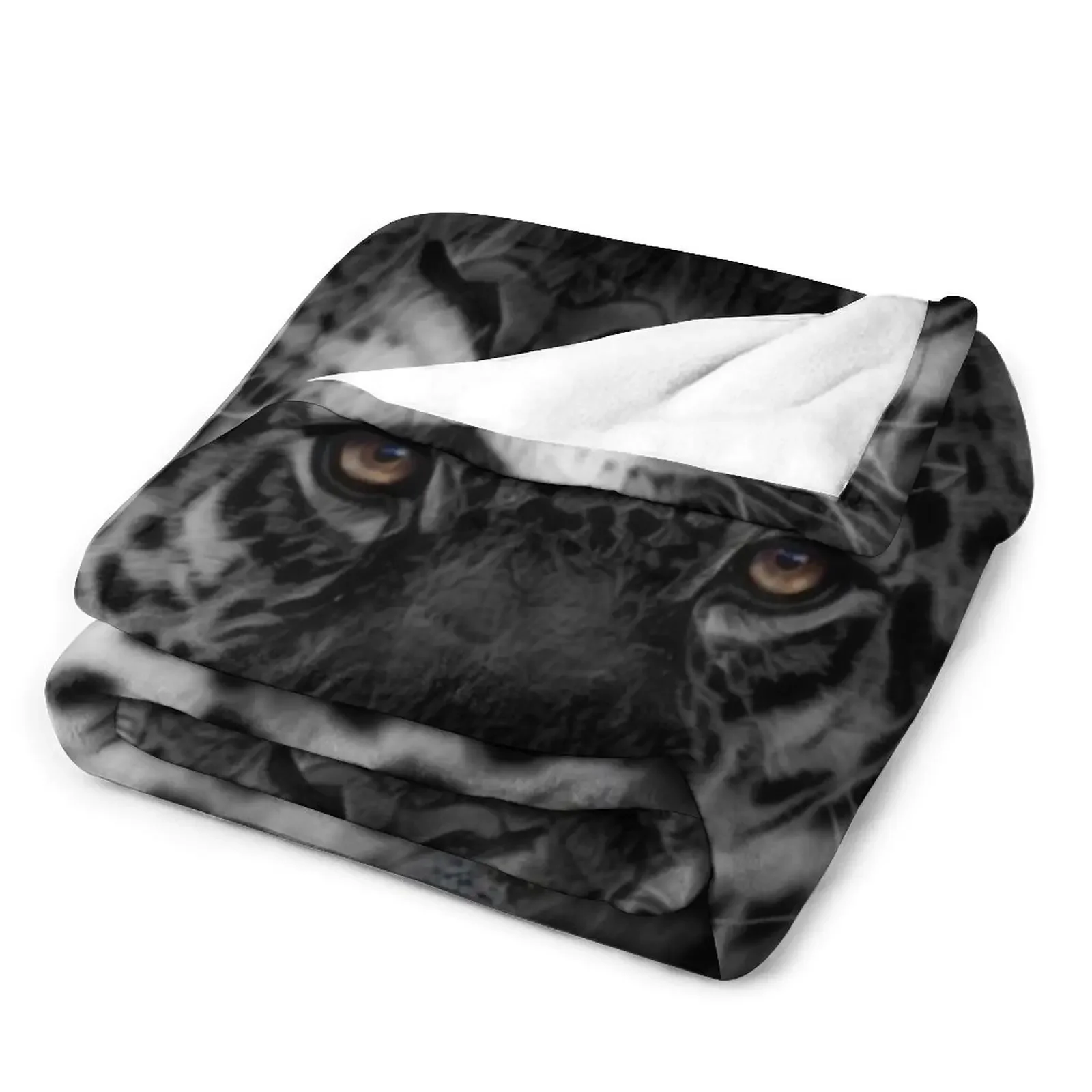 ��Ծ� ���Ǹ� ���� �� ���ο� ���, ���� �ʴ��� ���ο� ���