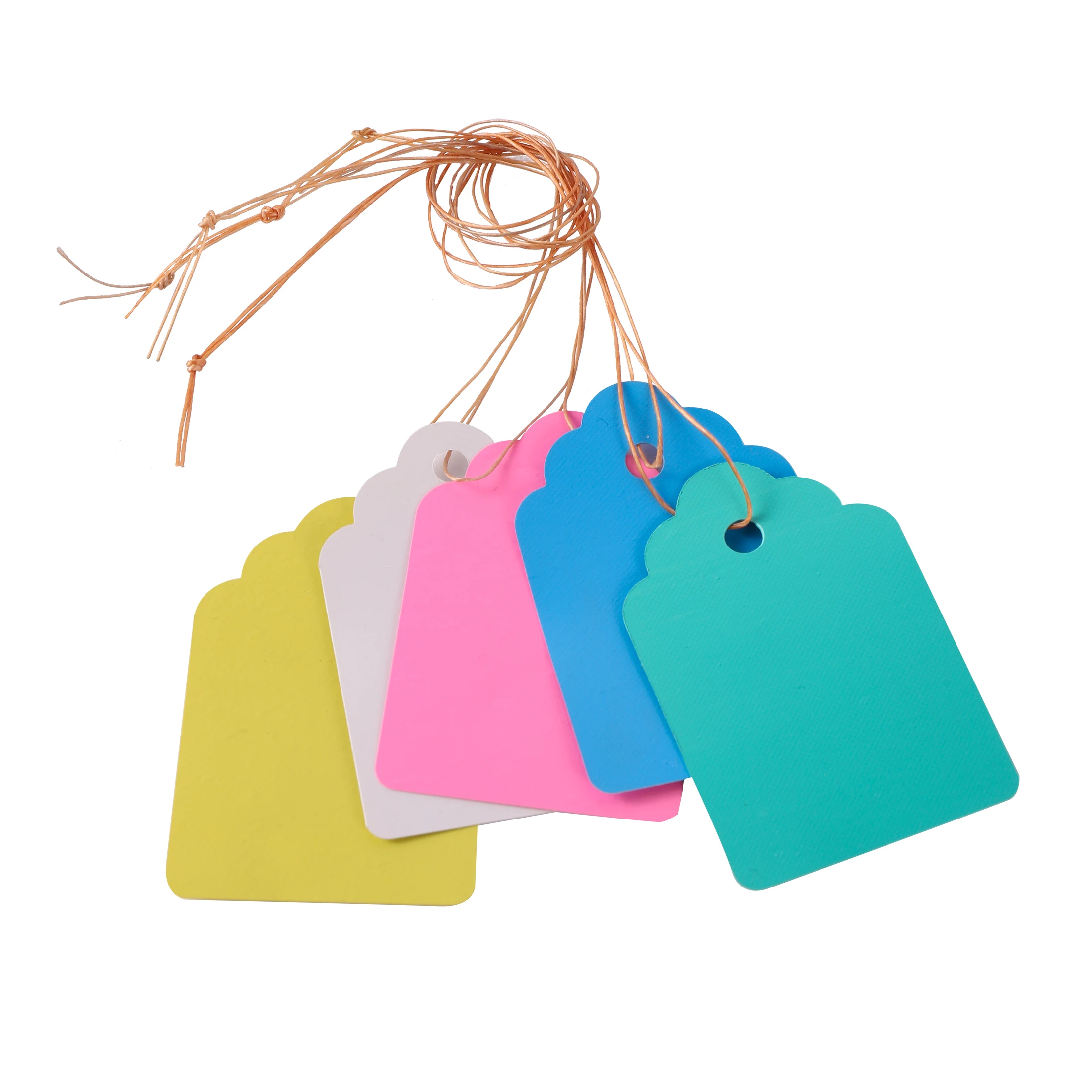 Plant Hanging Label plant tags Waterproof Flower Vegetable Seedling Succulent Tree Waterproof Marker Tag 3.5x5cm 5x6.9cm Garden Tool 100Pcs