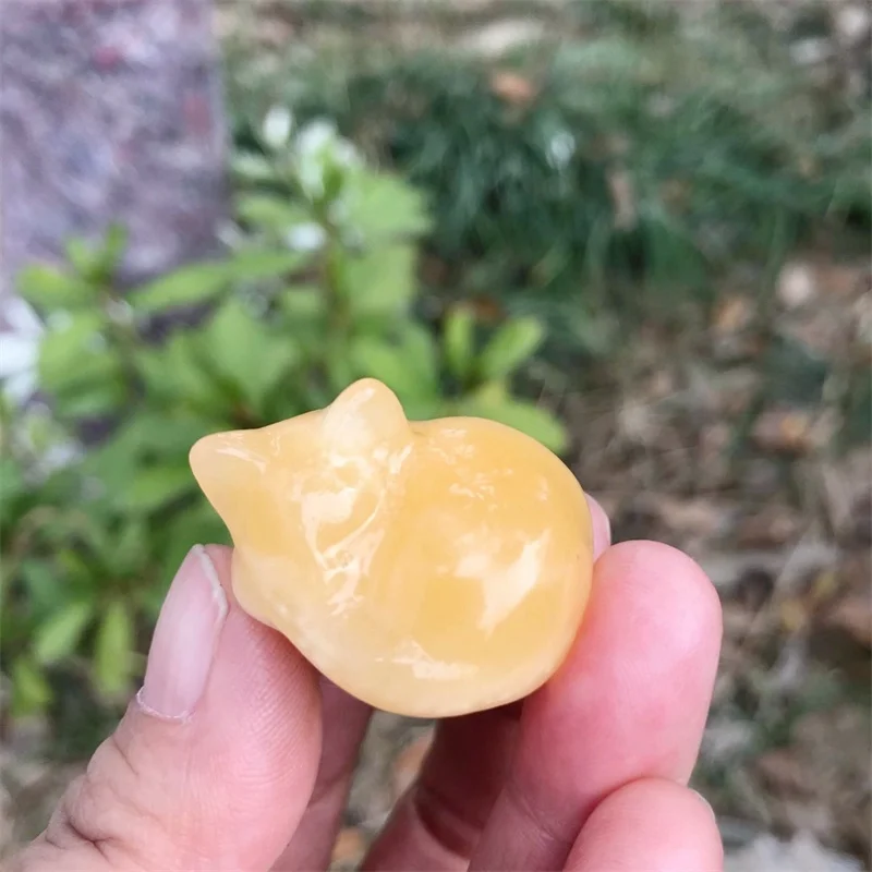 

3.3cm Natural Yellow Calcite Crystal Sleeping Cat Carving Animal Polished Statue Healing Gem Craft For Home Decoration 1pcs