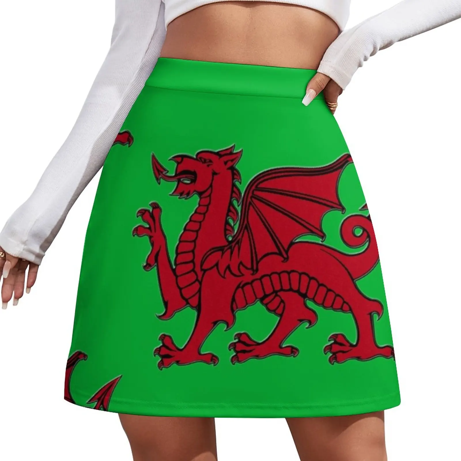 

THE WELSH DRAGON Mini Skirt luxury women's skirt dresses summer woman 2024 Korean clothing elegant social women's skirts