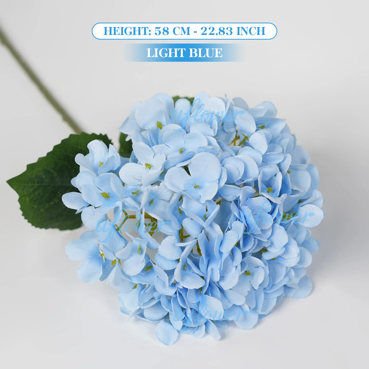 Light Blue-1PC