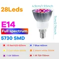 E14-Red Blue 28W