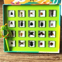 Small animal real insect resin scarab scorpion spider knows beetle specimen marine gift teaching cognition home decor 1