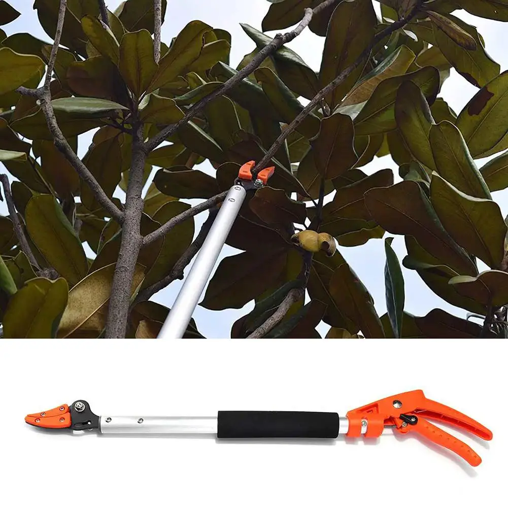 hot sale 1M Fruit Picker Extra Long Fruit Picking Shears Pruning And Hold Bypass Pruner Max Cutting Grape Persimmon Picker
