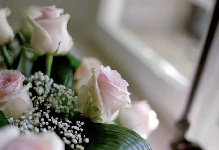 For Hitchcock 5203 135mm Color Negative Film 1-5 roll Film Daylight 50D 36 Sheets (Expiration Date 2025)