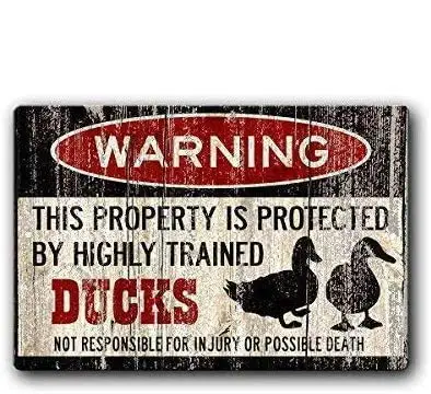 

Duck Sign,Duck Eggs,Funny Duck Sign Iron Painting 8X12 Inch Metal Tin Sign
