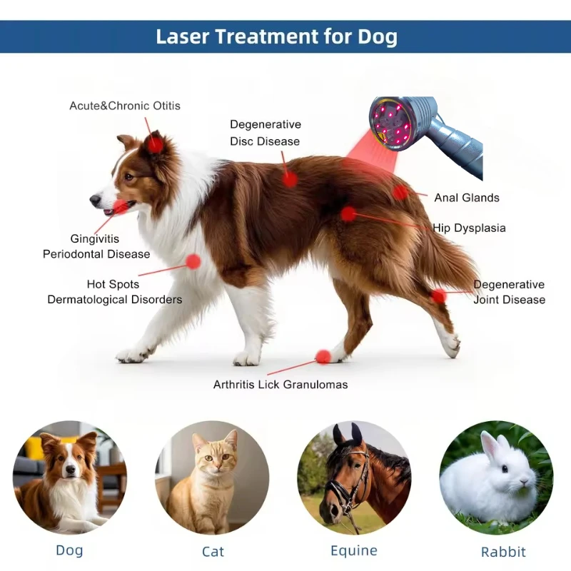 Medical Grade 1760mW Cold Laser 16 Diode Dual Wave (808nm+650nm) for Muscle & Joint Therapy