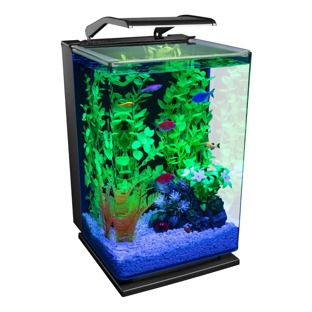 

Cycle 5 Gal Desktop Starter Glass Aquarium Kit Freight Free Mini Aquarium and Fish Bowls Betta Fish Tanks Fishkeeping Water Asmr