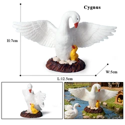 Oenux Simulation Cute Poultry Farm Animals PVC Miniature Toy Set - Duck, Goose, Swan, Hen, and Chicken Action Figures (Farm figures)
